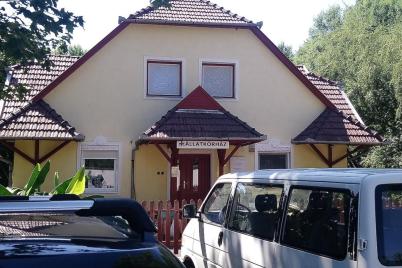 Az állategészségügy és az ADR kapcsolata | Sashegy ADR, Békéscsaba